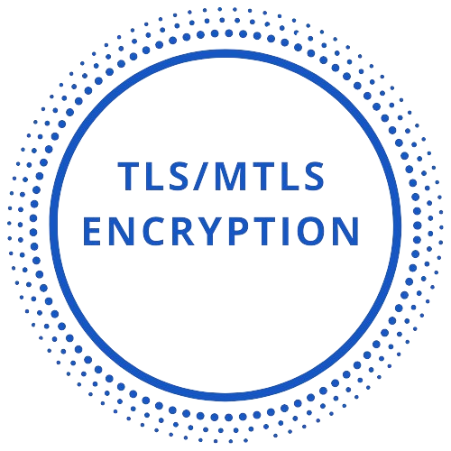 Boosted security tls/mtls icon